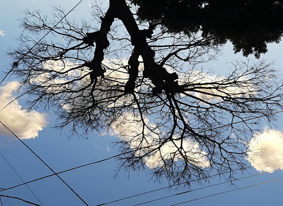 冬の空