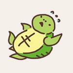 ひっくり返った亀